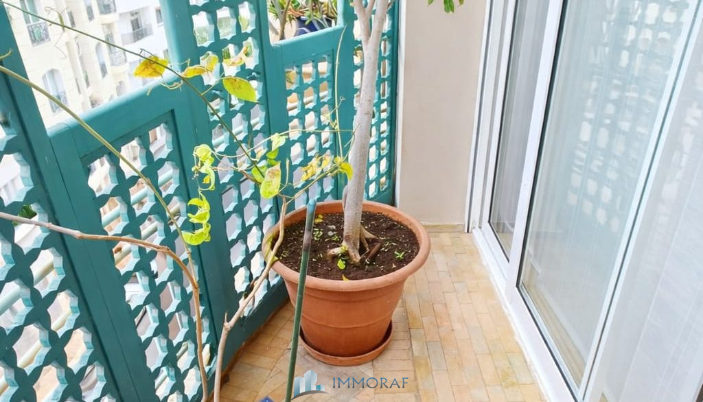 WhatsApp Image 2026-02-05 at 11.30.11 (1)